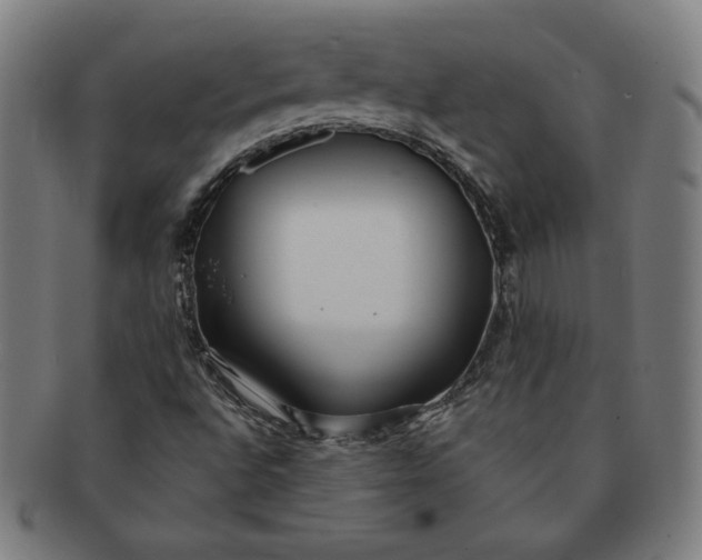 X0000091211496200708301416