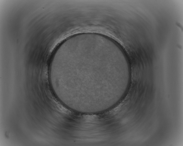 X0000091211498200708301416