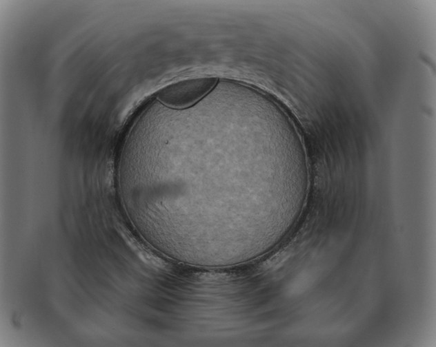 X0000091211499200708301416