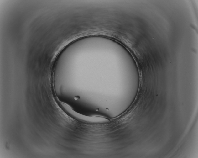 X0000091211500200708301416