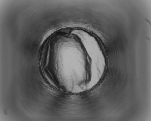 X0000091211501200708301416