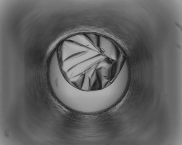 X0000091211502200708301416