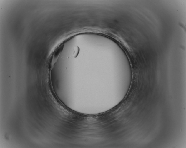 X0000091211504200708301416