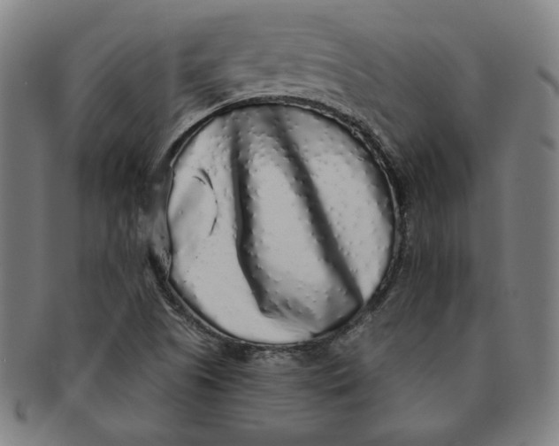 X0000091211505200708301416