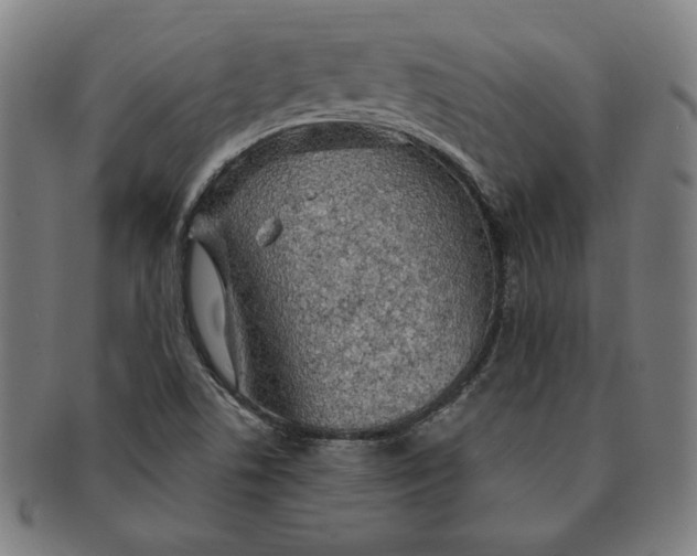 X0000091211506200708301416