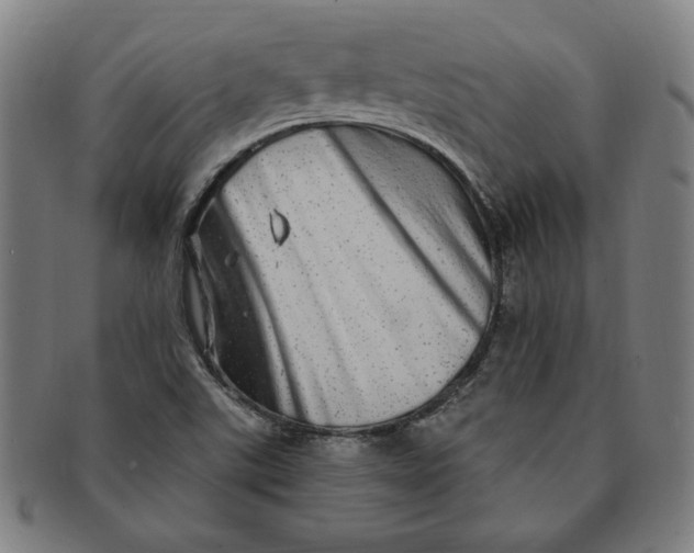 X0000091211507200708301416