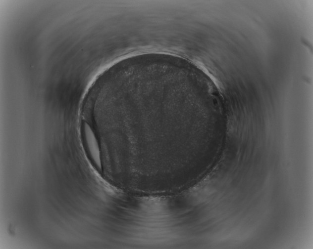 X0000091211508200708301416