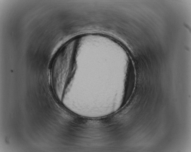 X0000091211509200708301416