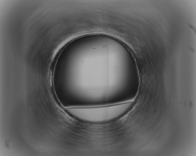 X0000091211510200708301416