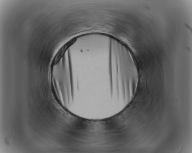 X0000091211516200708301416