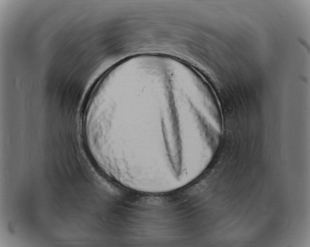 X0000091211517200708301416