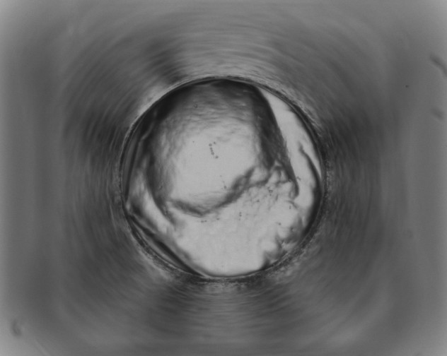 X0000091211521200708301417