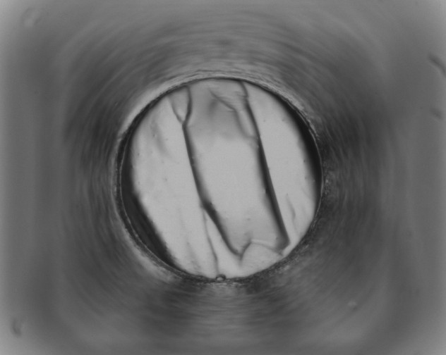 X0000091211523200708301417