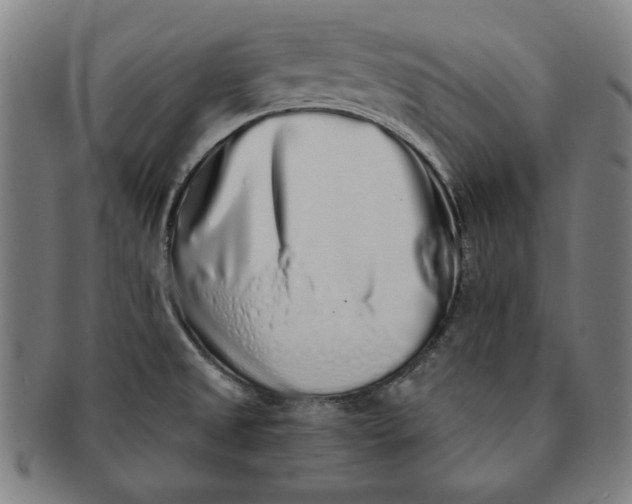 X0000091211525200708301417