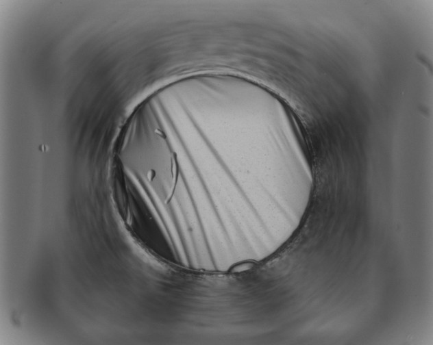 X0000091211526200708301417