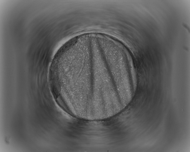 X0000091211527200708301417