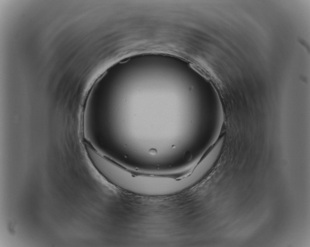 X0000091211528200708301417