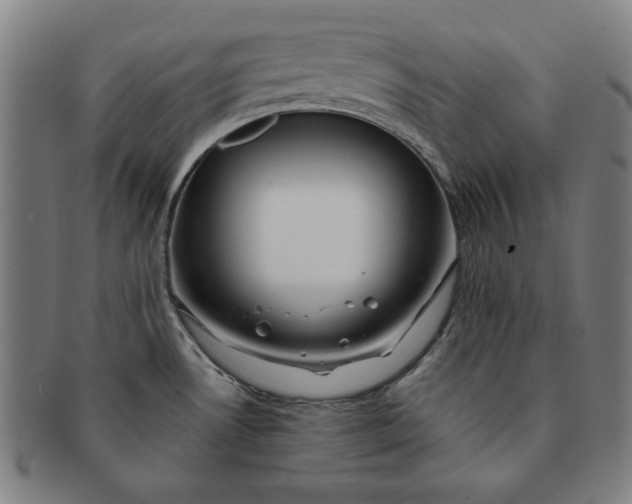 X0000091211530200708301417