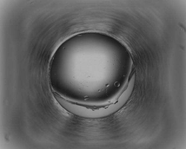 X0000091211532200708301417