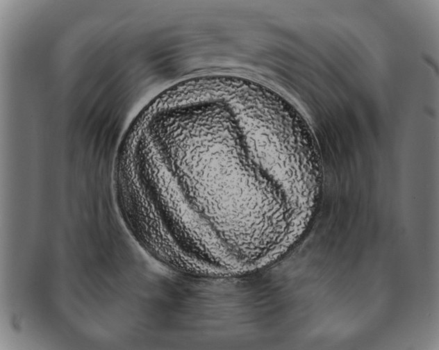 X0000091211533200708301417