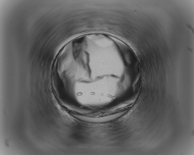 X0000091211534200708301417