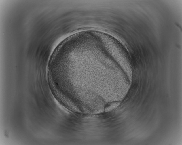 X0000091211535200708301417