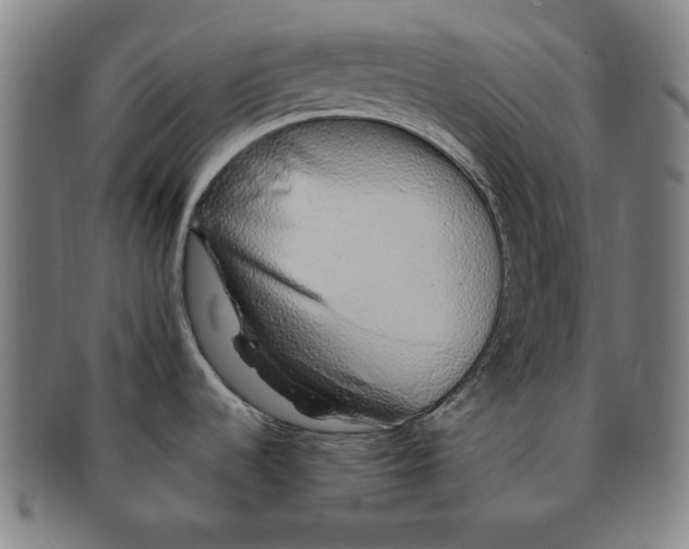 X0000091211536200708301417