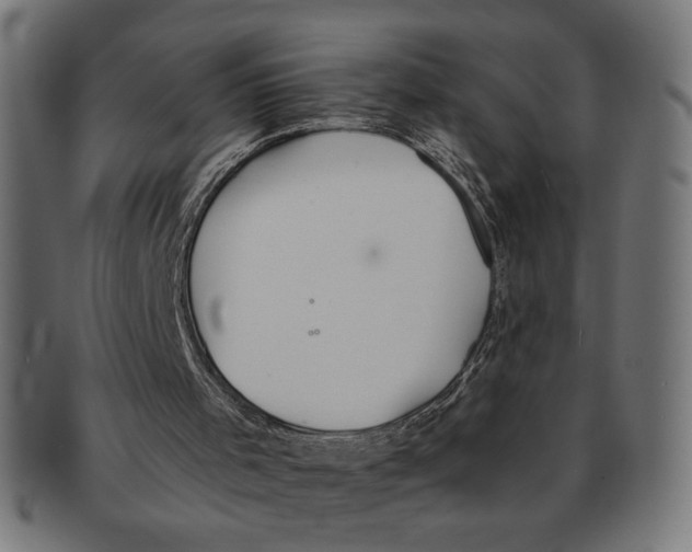 X0000091210001200709061448