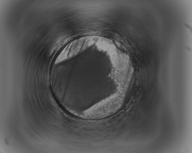 X0000091210002200709061448