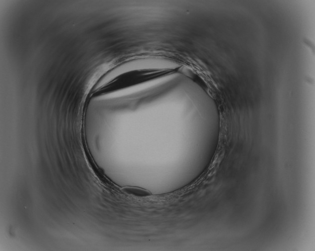 X0000091210003200709061448