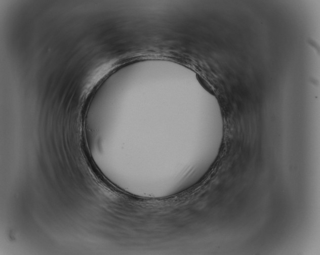 X0000091210005200709061448