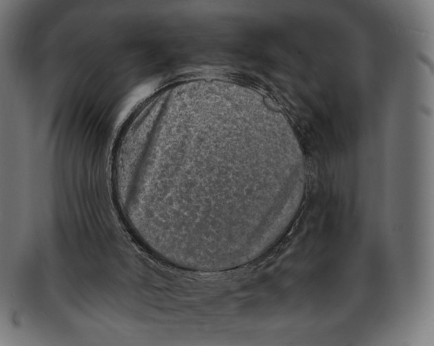 X0000091210006200709061448