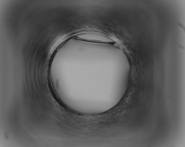 X0000091210007200709061448