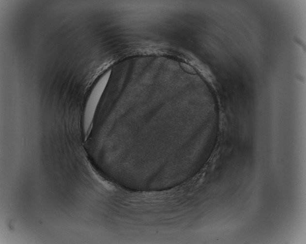 X0000091210009200709061448