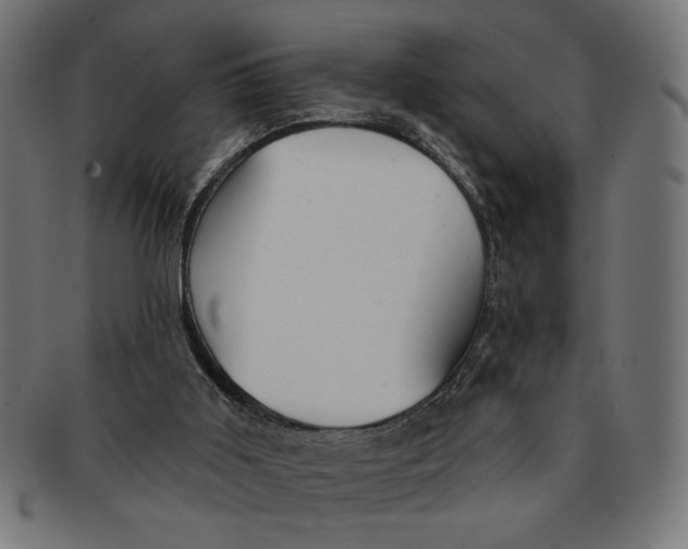 X0000091210011200709061448