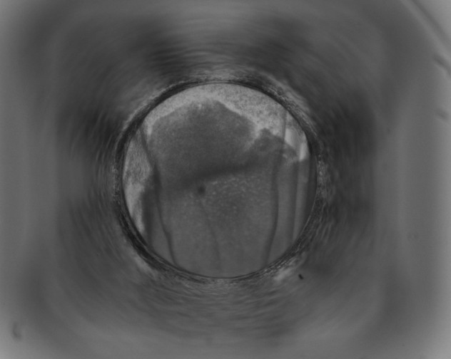 X0000091210012200709061448