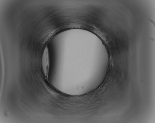 X0000091210013200709061448