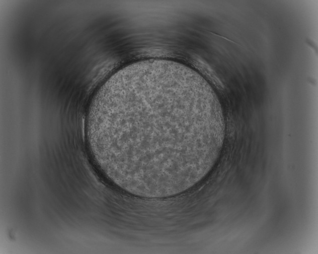 X0000091210014200709061448