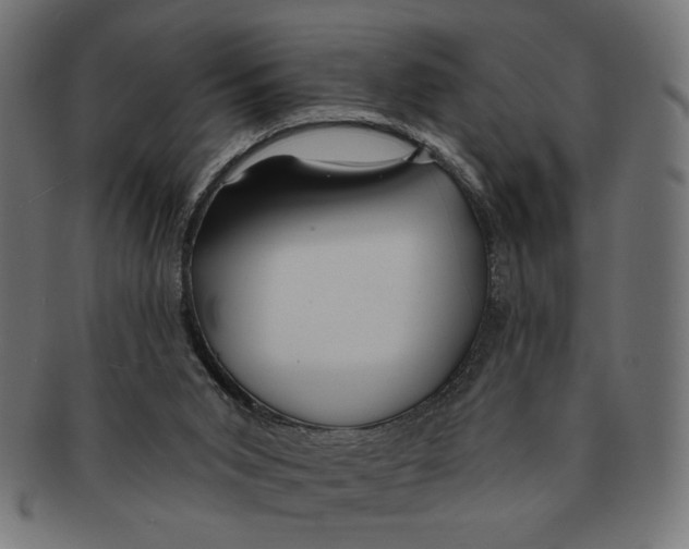 X0000091210015200709061448