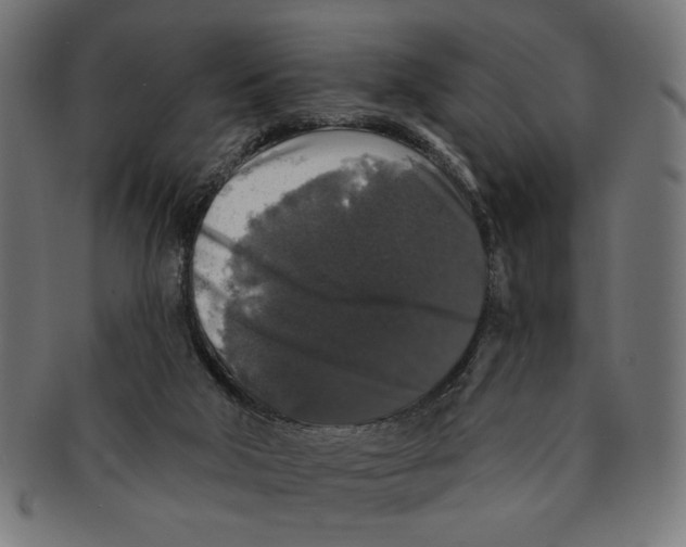 X0000091210018200709061448