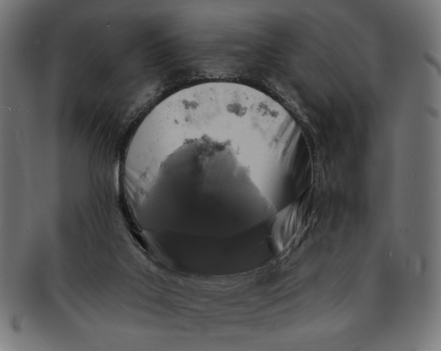 X0000091210019200709061448