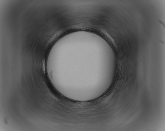 X0000091210020200709061448