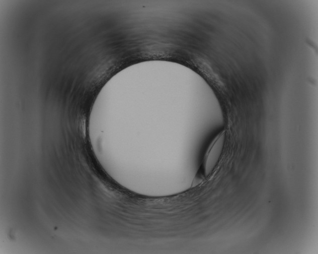 X0000091210021200709061448