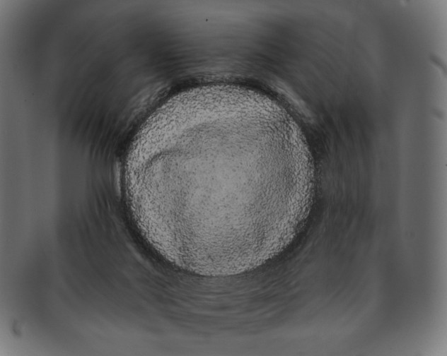 X0000091210022200709061448