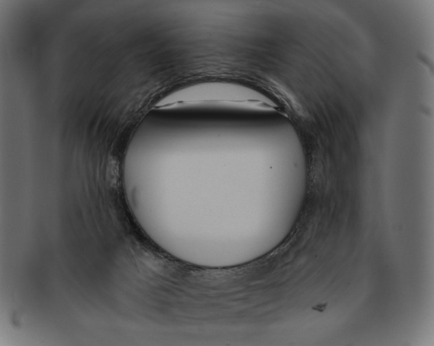 X0000091210025200709061448