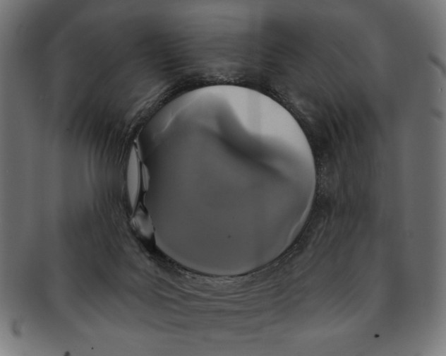 X0000091210027200709061448