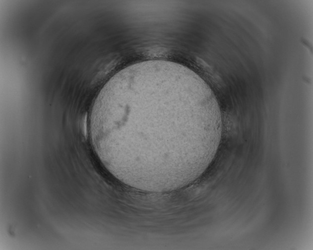 X0000091210028200709061448