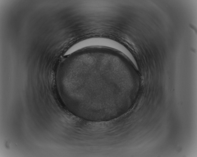 X0000091210029200709061448