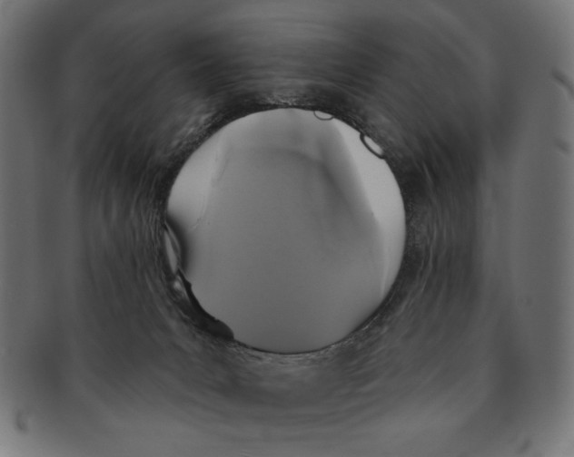 X0000091210031200709061448