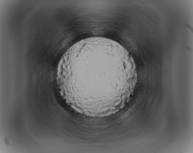 X0000091210032200709061448